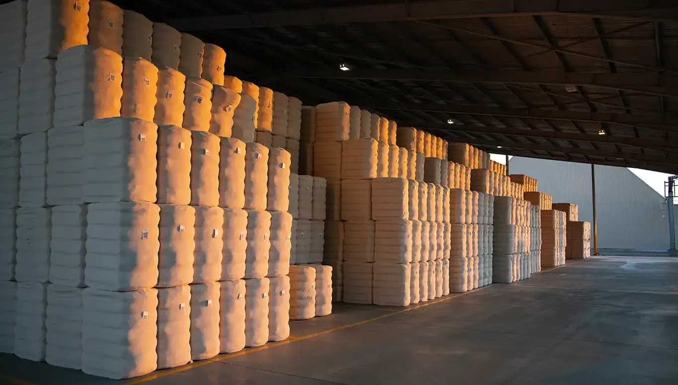 Banner-Warehousing